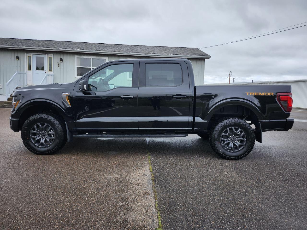 2025 Ford F-150 Tremor 4WD SuperCrew 5.5' Box Photo5
