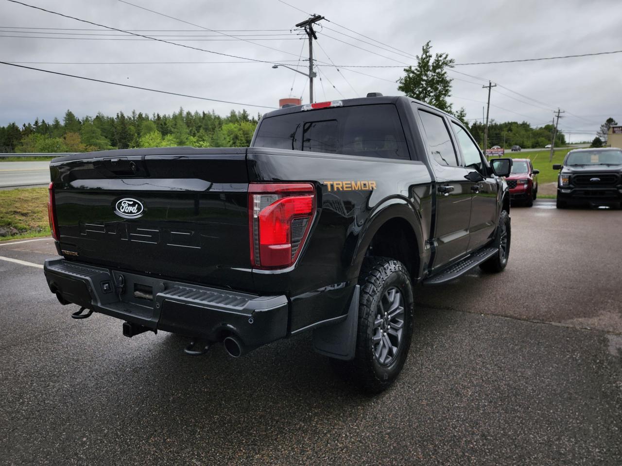 2025 Ford F-150 Tremor 4WD SuperCrew 5.5' Box Photo5