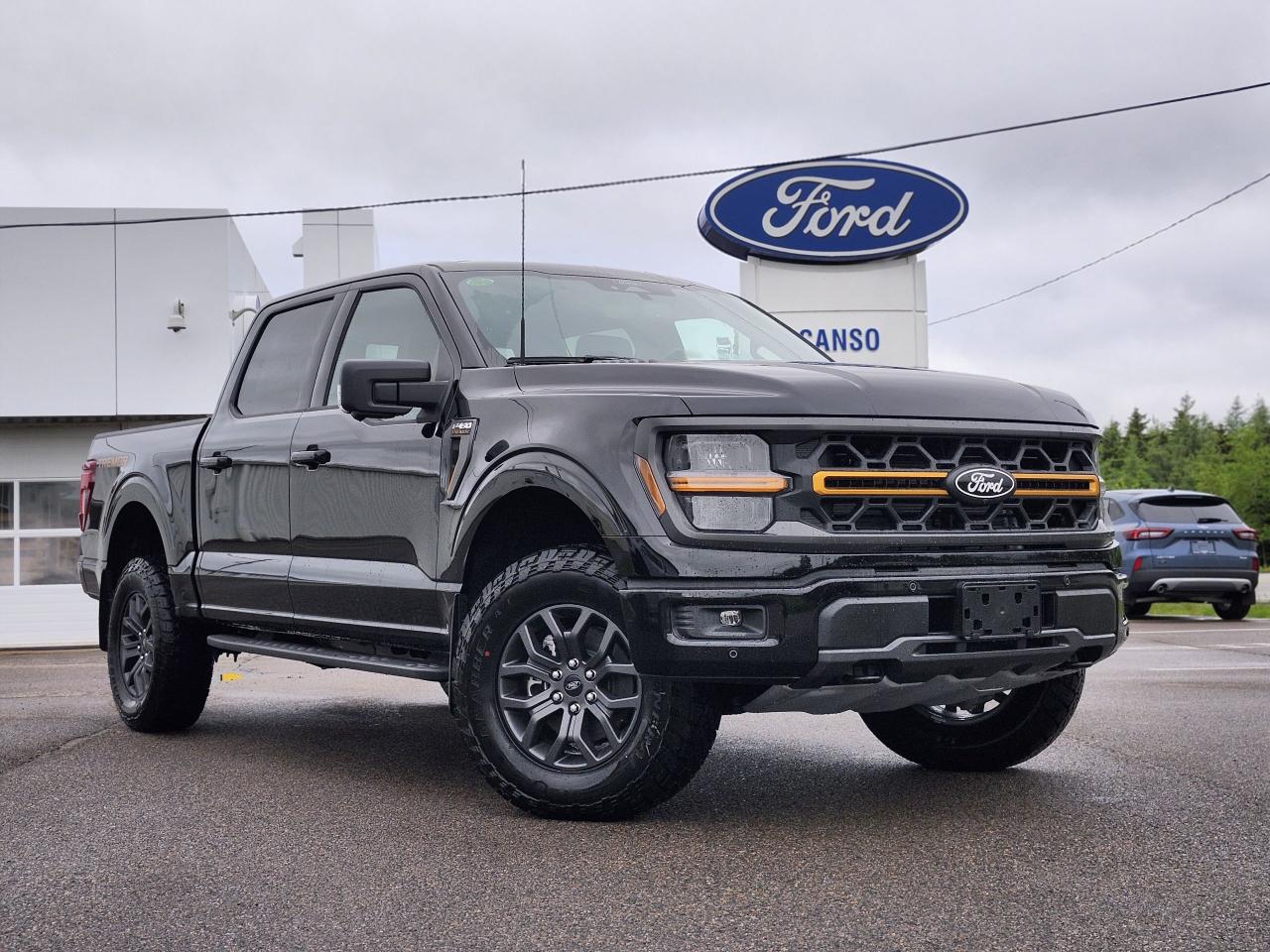 2025 Ford F-150 Tremor 4WD SuperCrew 5.5' Box Photo0