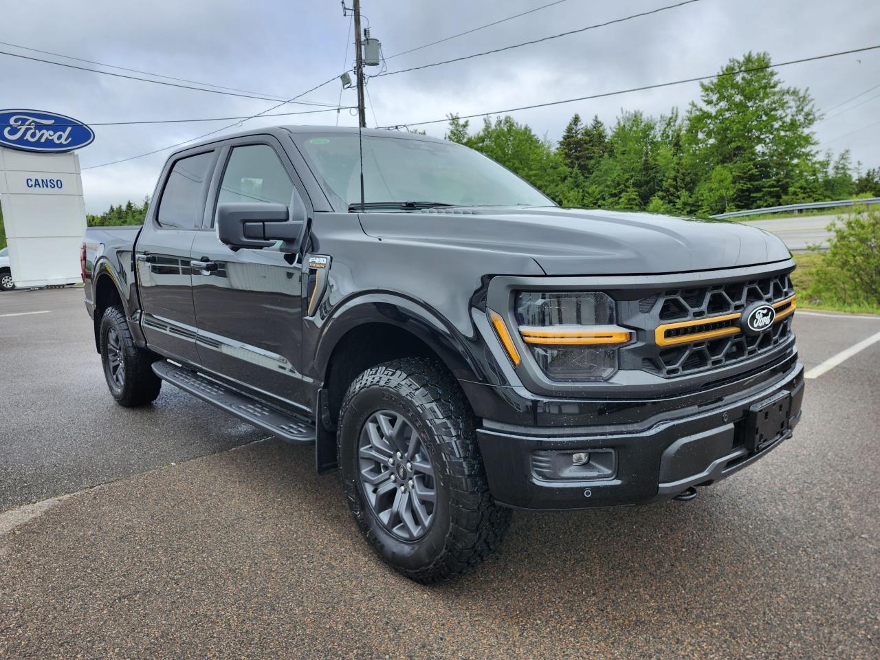 2025 Ford F-150 Tremor 4WD SuperCrew 5.5' Box Photo4