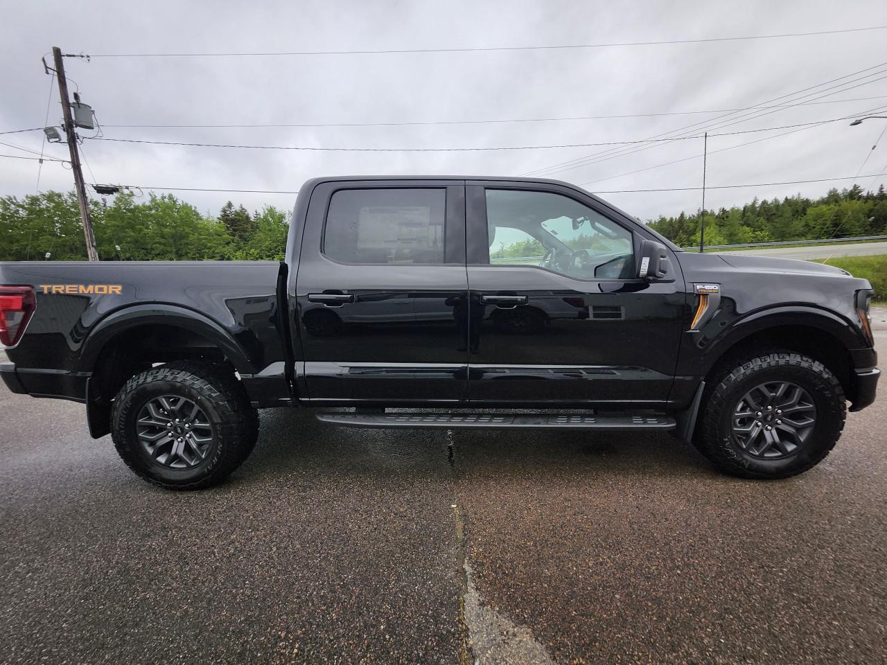 2025 Ford F-150 Tremor 4WD SuperCrew 5.5' Box Photo5