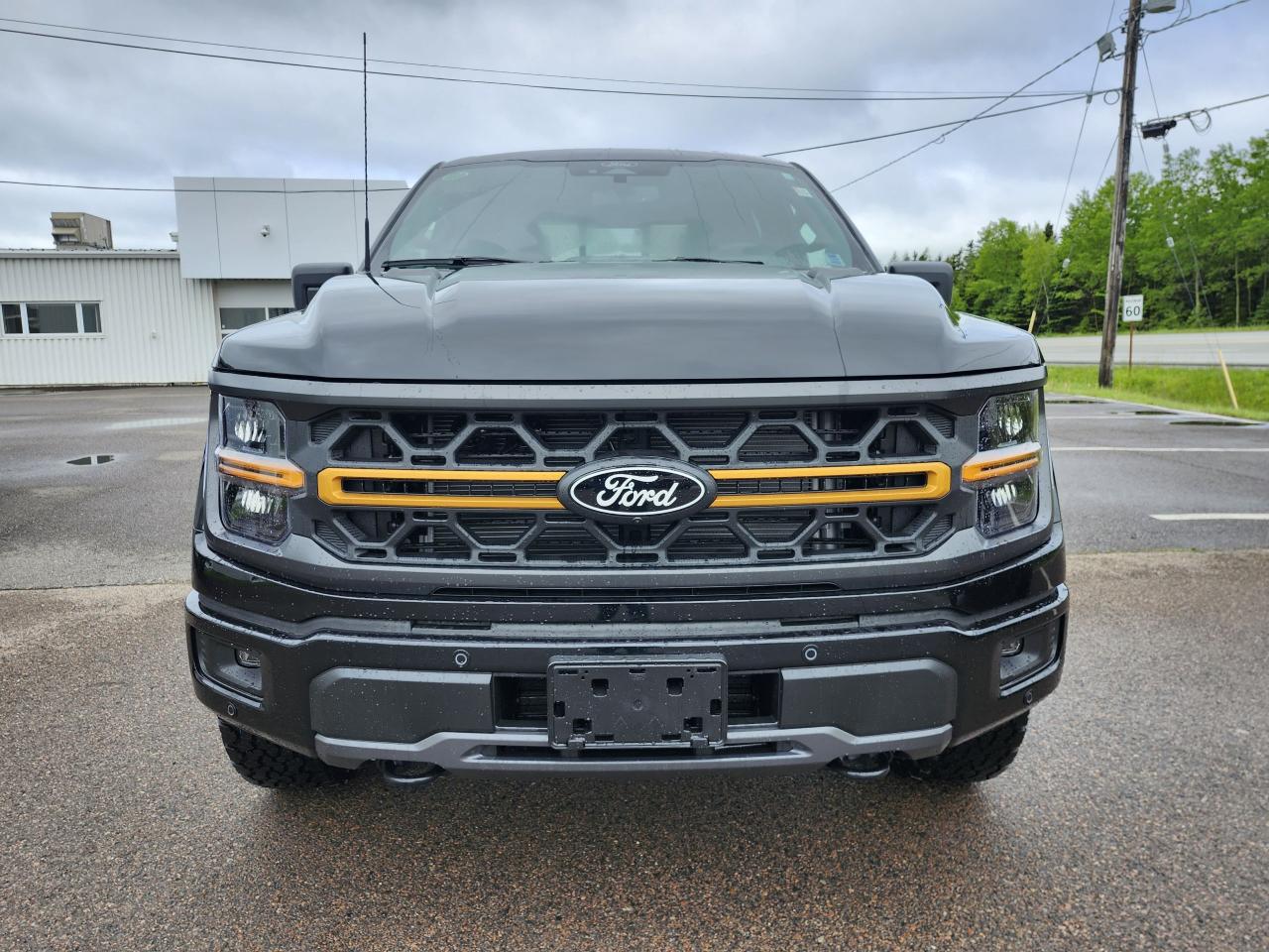 2025 Ford F-150 Tremor 4WD SuperCrew 5.5' Box Photo2