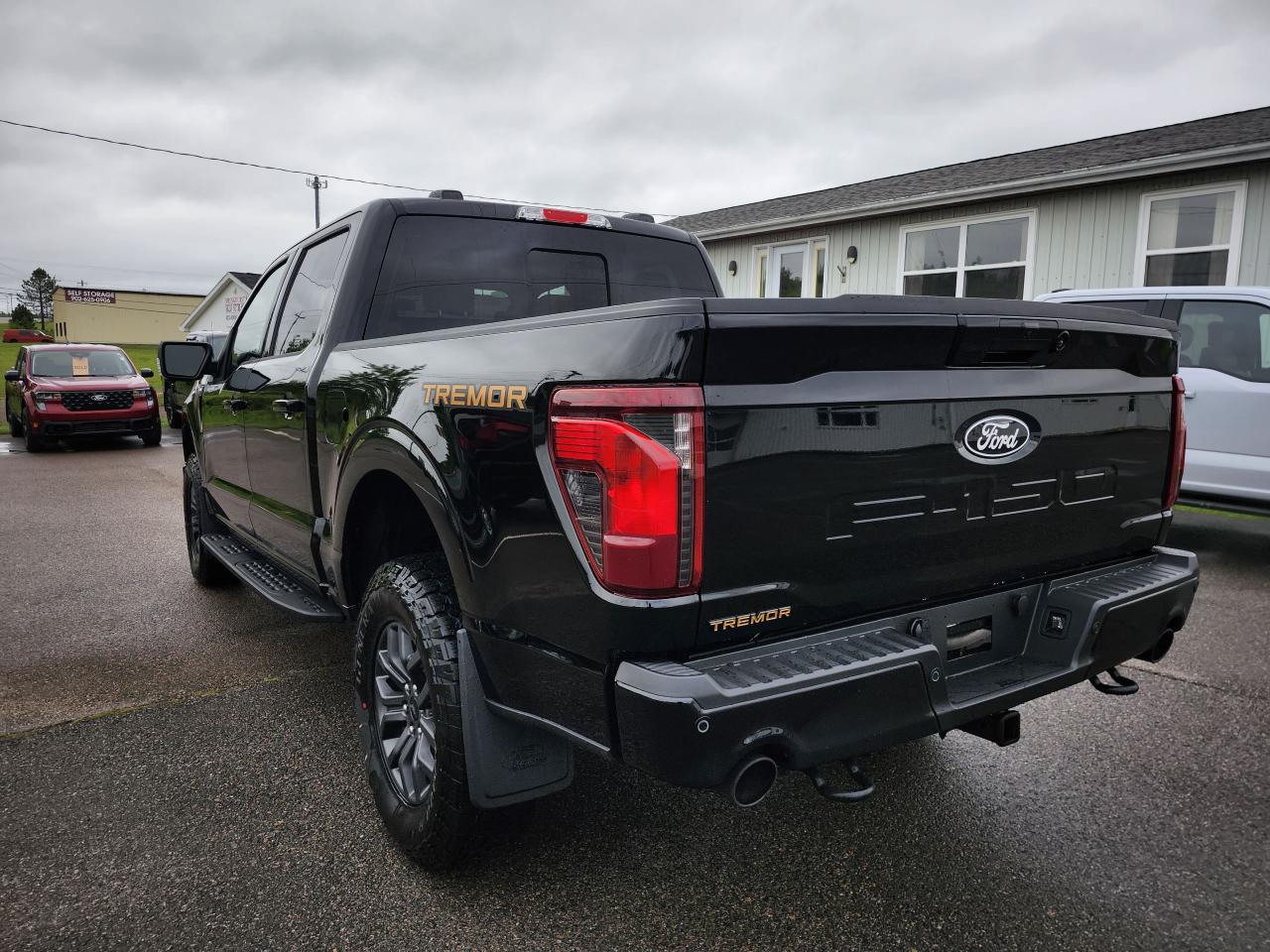 2025 Ford F-150 Tremor 4WD SuperCrew 5.5' Box Photo5
