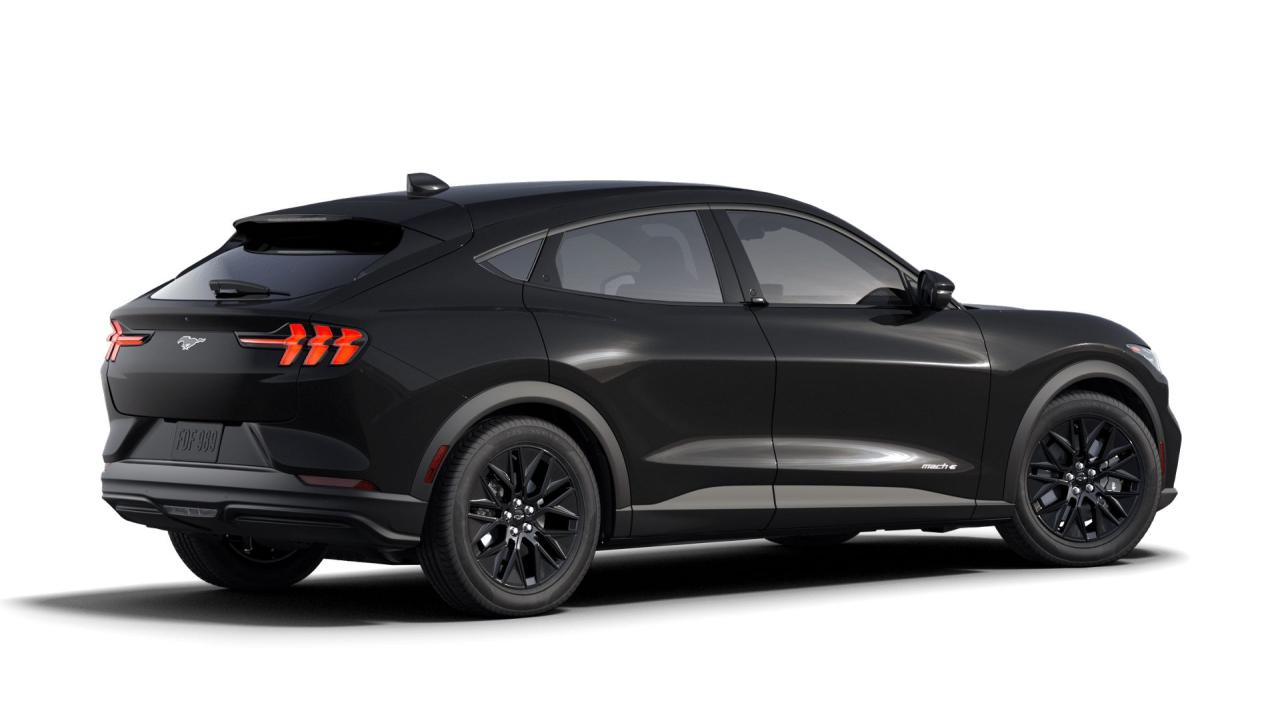2025 Ford Mustang Mach-E Select RWD Photo2