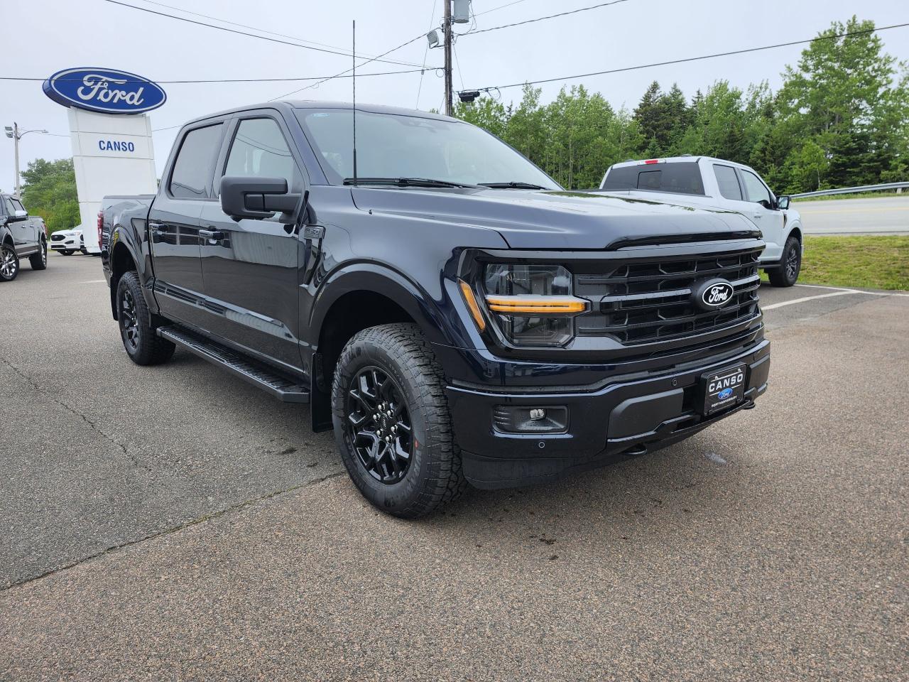 2025 Ford F-150 XLT 4WD SuperCrew 5.5' Box Photo