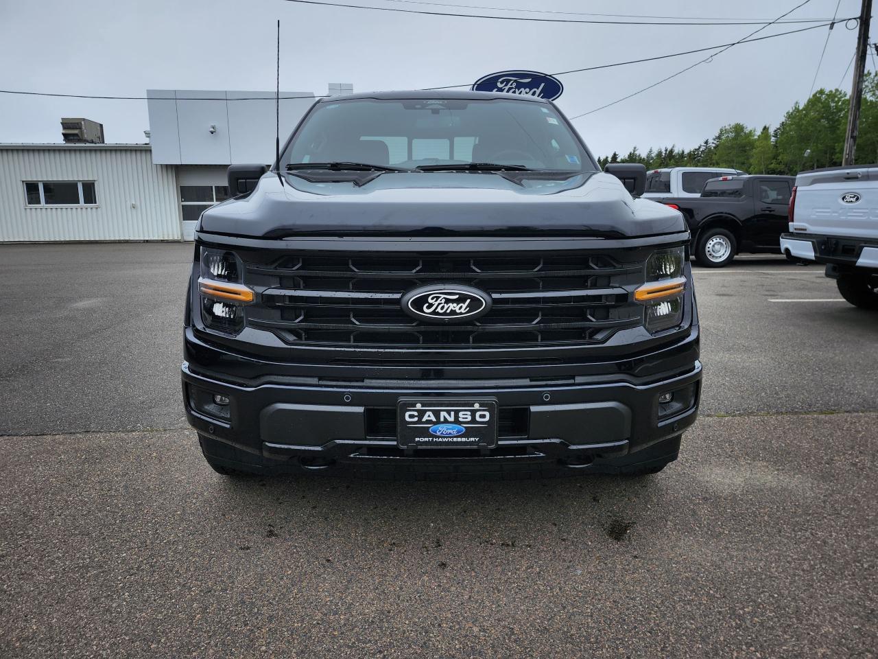 2025 Ford F-150 XLT 4WD SuperCrew 5.5' Box Photo1