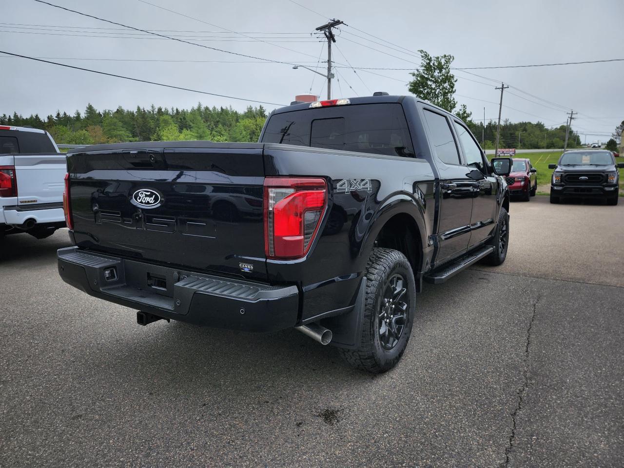 2025 Ford F-150 XLT 4WD SuperCrew 5.5' Box Photo4