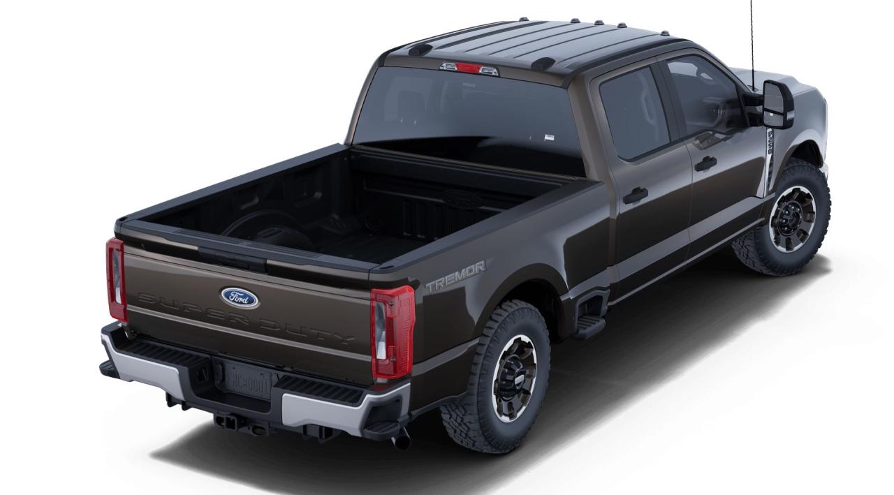 2025 Ford F-250 Super Duty SRW XLT 4WD CREW CAB 6.75' BOX Photo5