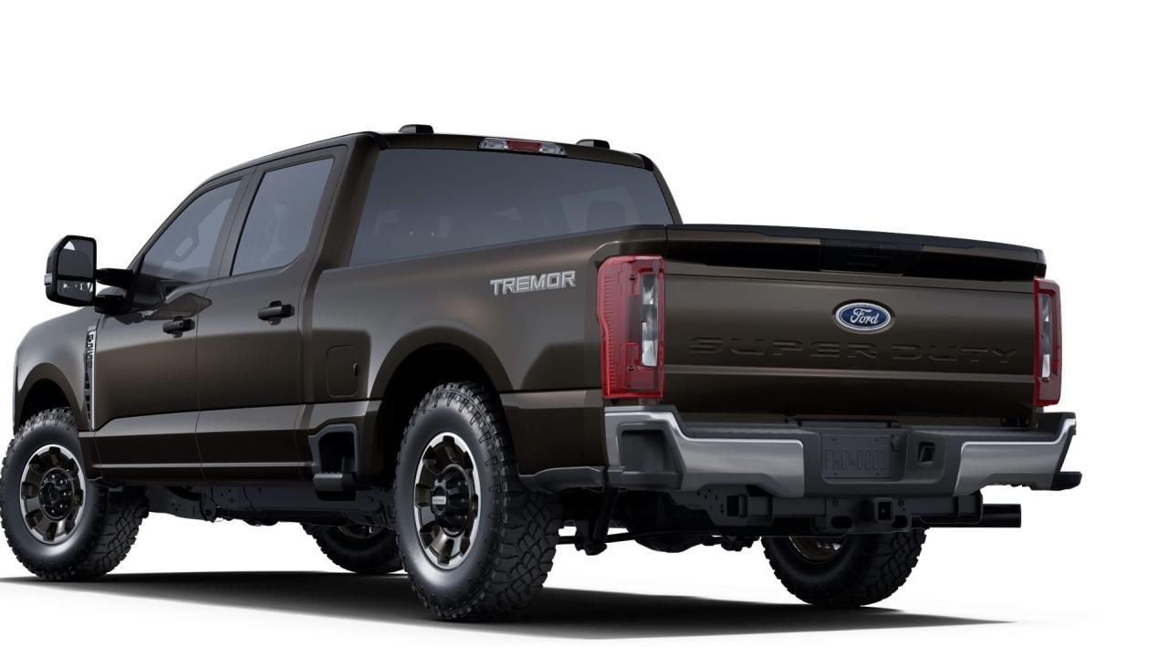 2025 Ford F-250 Super Duty SRW XLT 4WD CREW CAB 6.75' BOX Photo