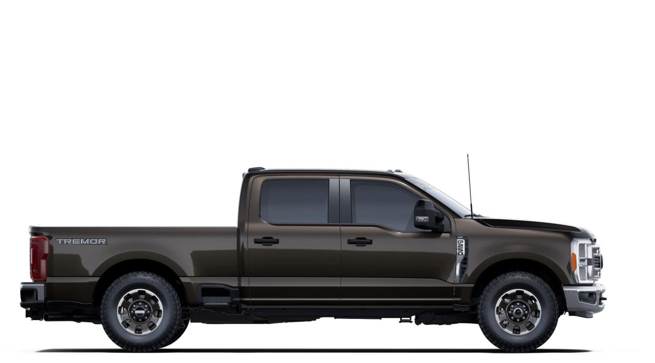 2025 Ford F-250 Super Duty SRW XLT 4WD CREW CAB 6.75' BOX Photo5