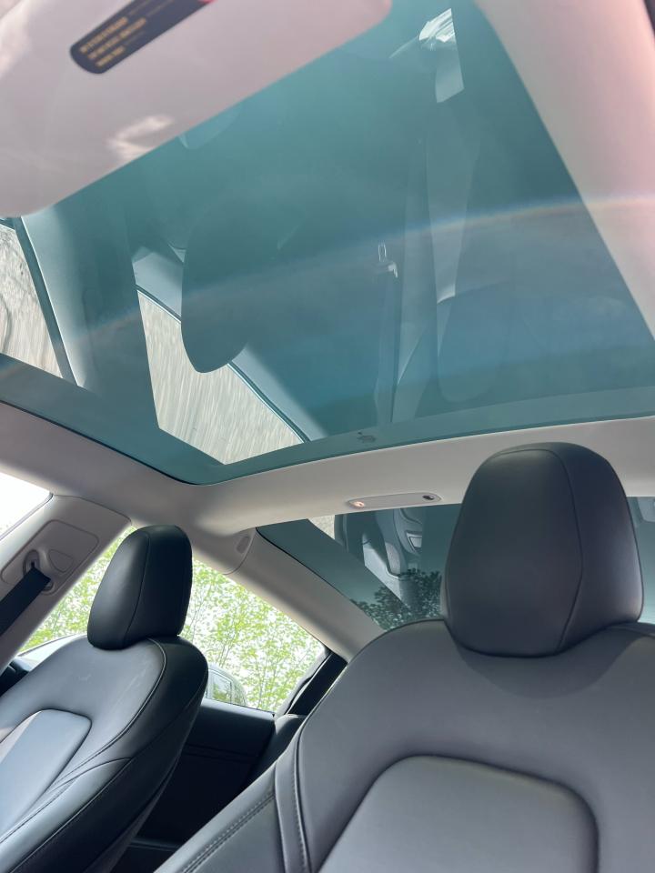 2019 Tesla Model 3 STANDARD RANGE PLUS - Photo #17