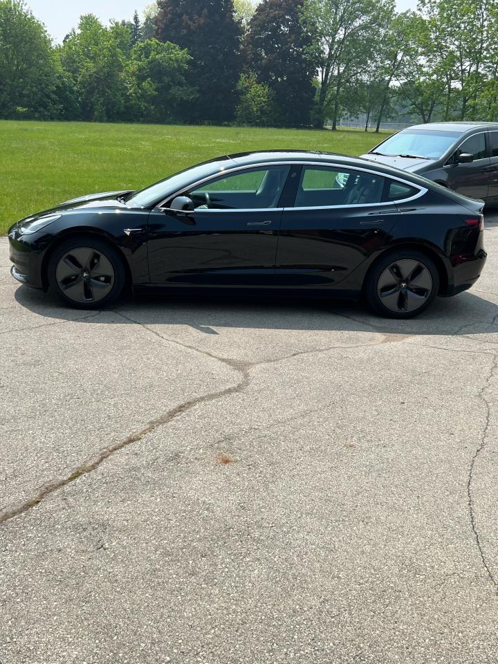 2019 Tesla Model 3 STANDARD RANGE PLUS - Photo #7