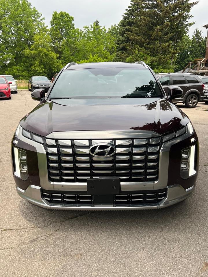 2023 Hyundai PALISADE Ultimate Calligraphy - Photo #3