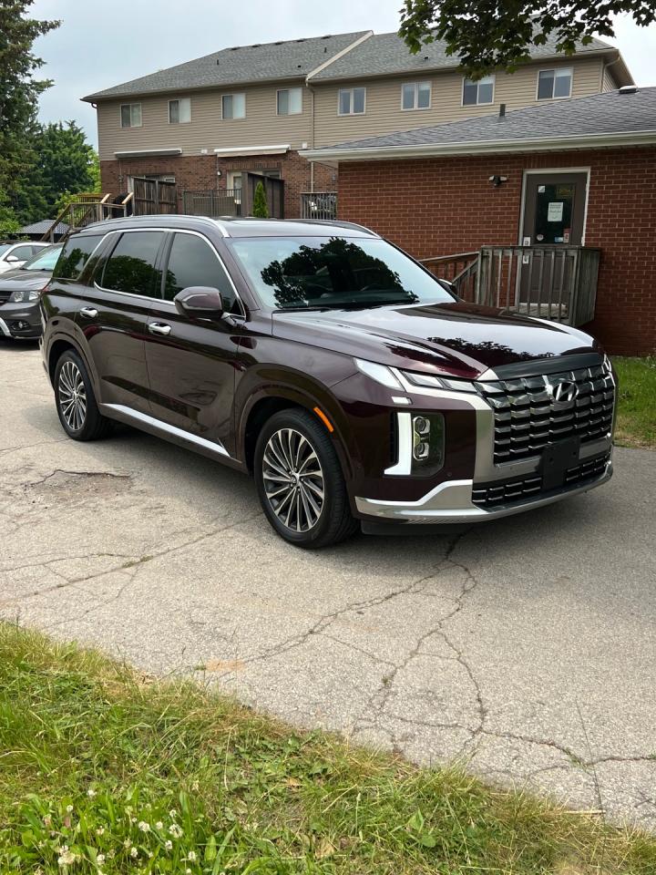 2023 Hyundai PALISADE Ultimate Calligraphy - Photo #4