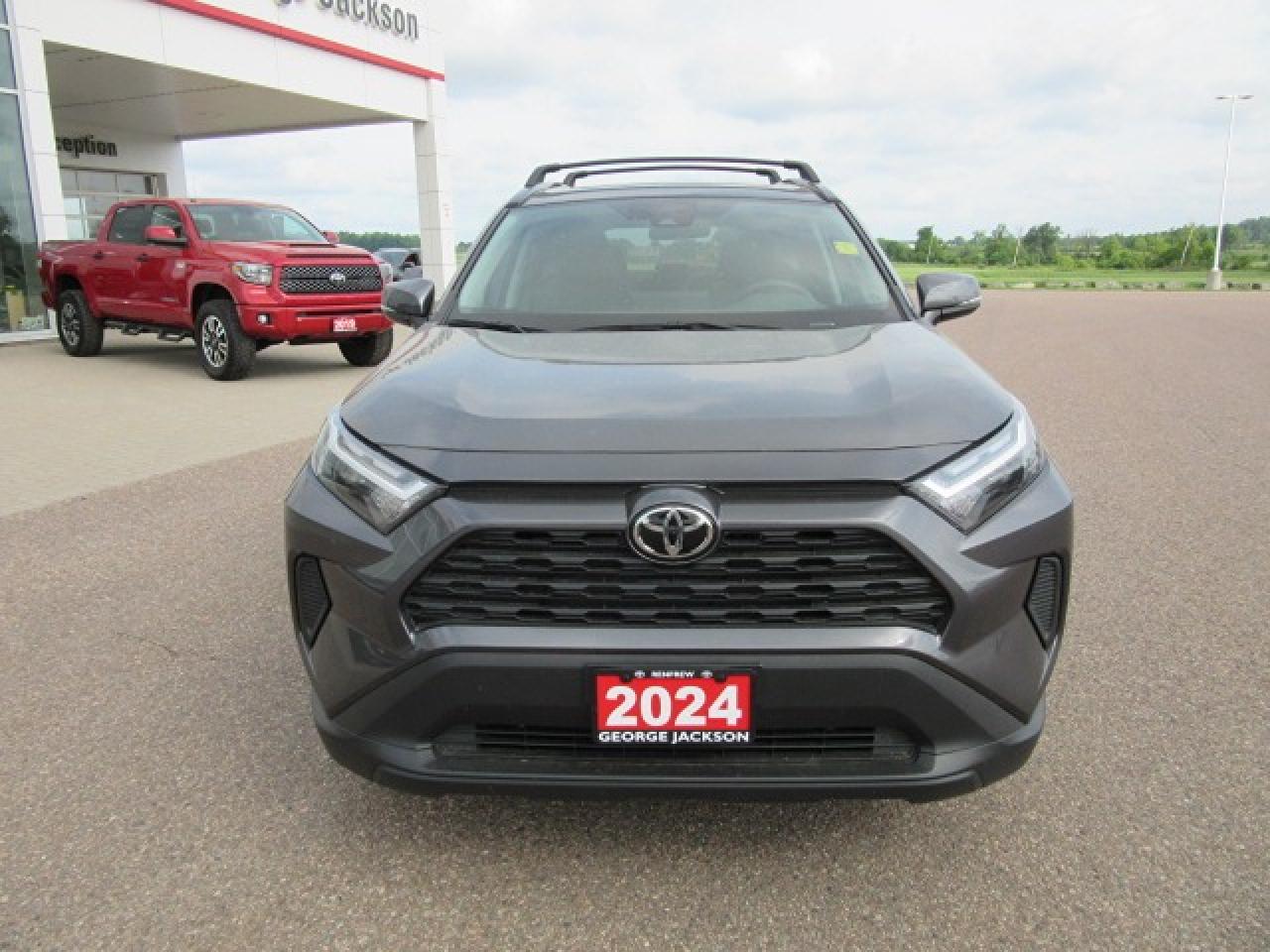 2024 Toyota RAV4 XLE Photo