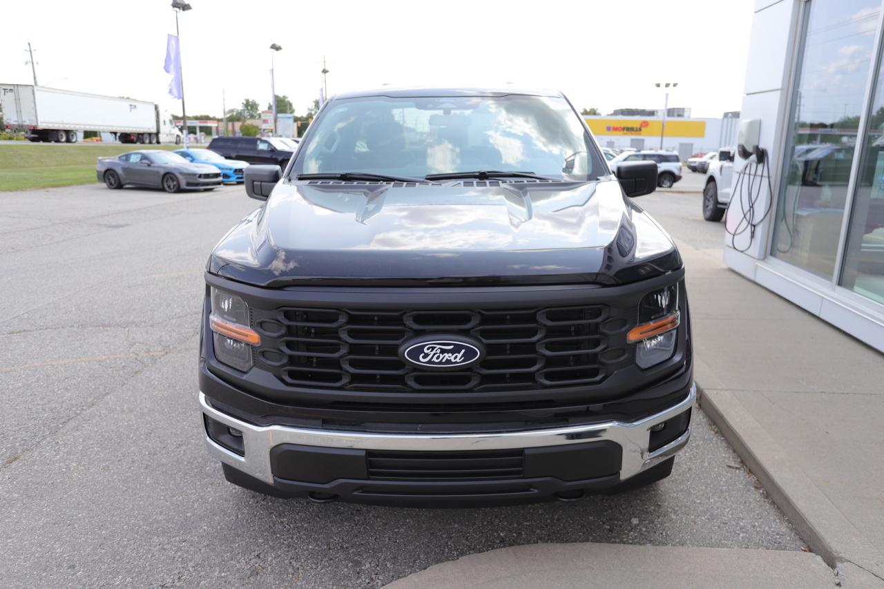 2025 Ford F-150 XL 4WD REG CAB 6.5' BOX Photo5
