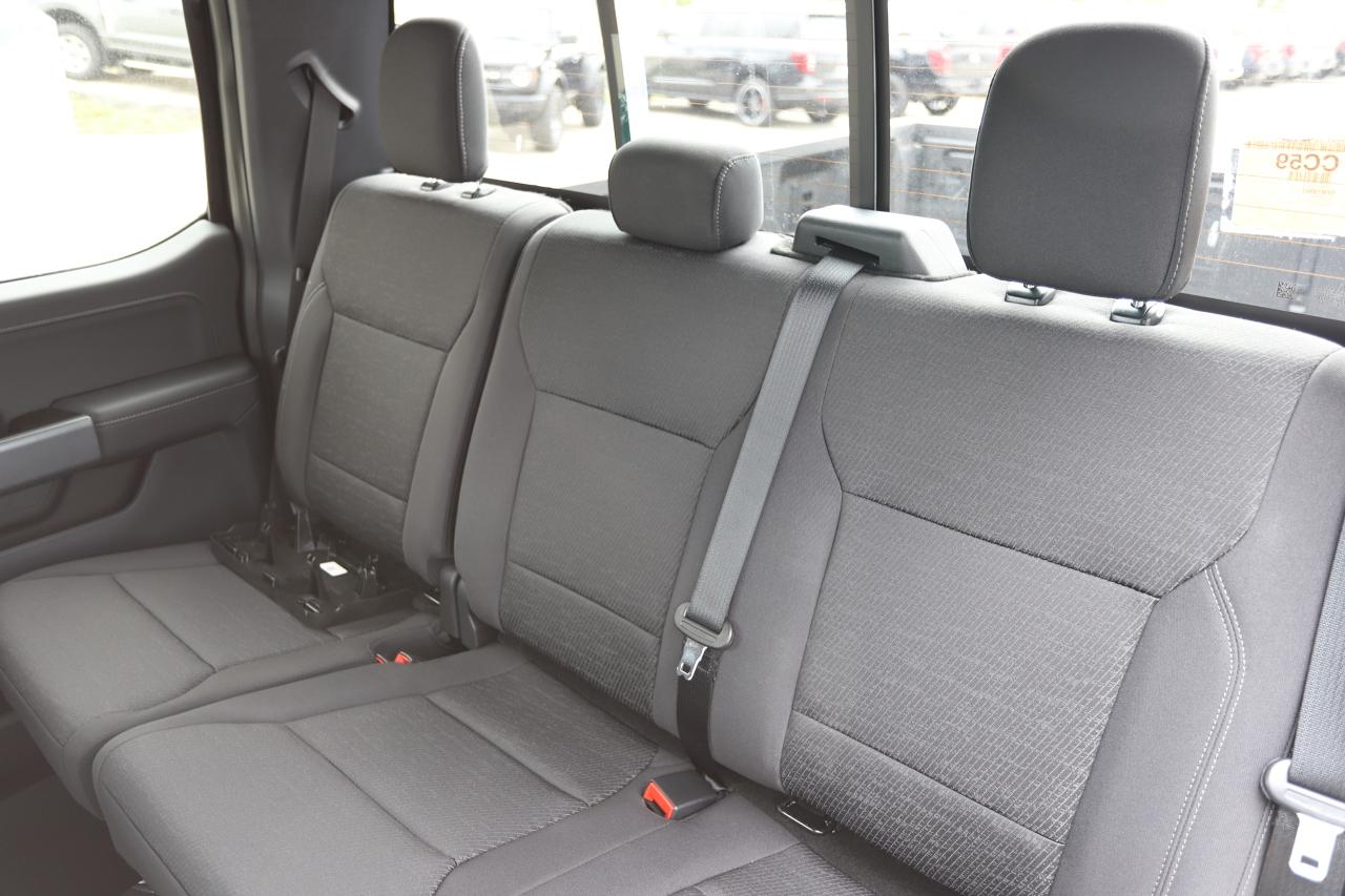 2025 Ford F-150 XLT 4WD SuperCrew 5.5' Box Photo5