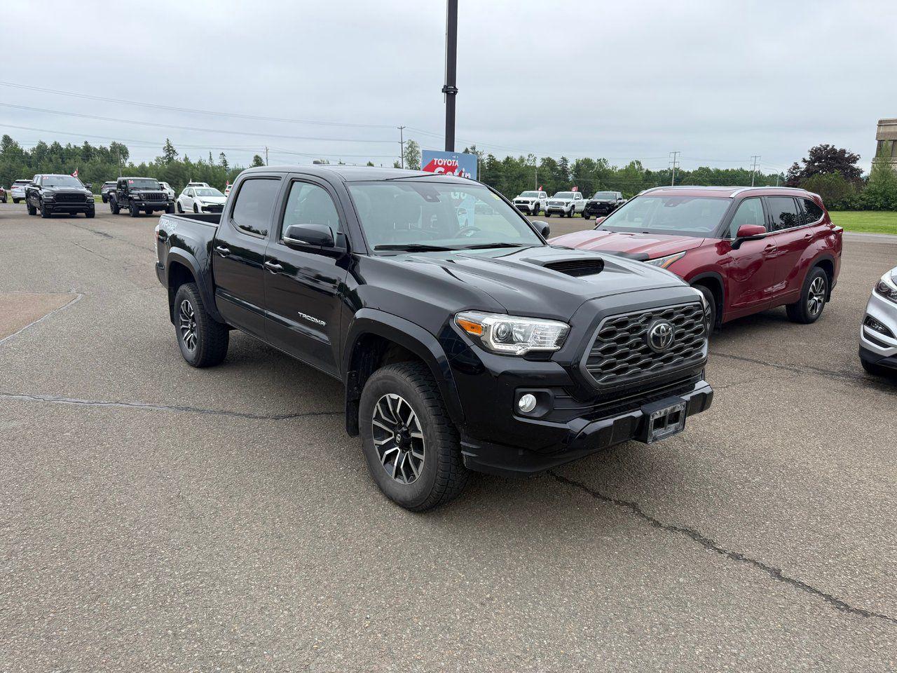 2020 Toyota Tacoma  Photo3