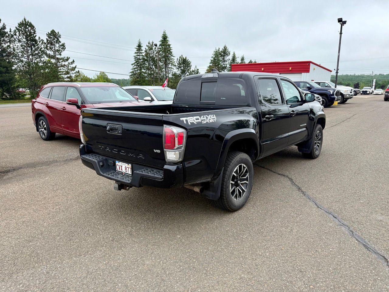 2020 Toyota Tacoma  Photo