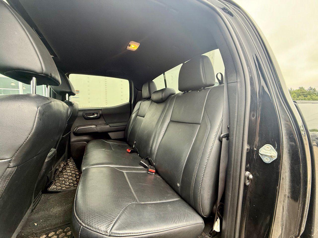 2020 Toyota Tacoma  Photo