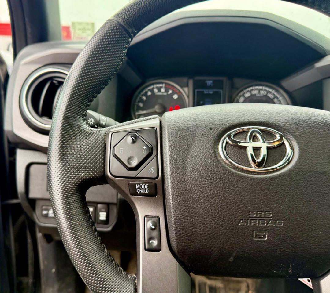 2020 Toyota Tacoma  Photo