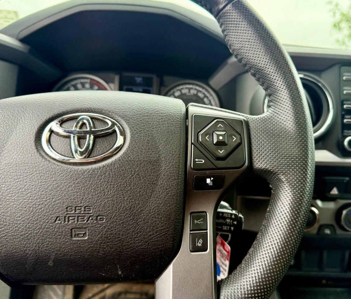 2020 Toyota Tacoma  Photo