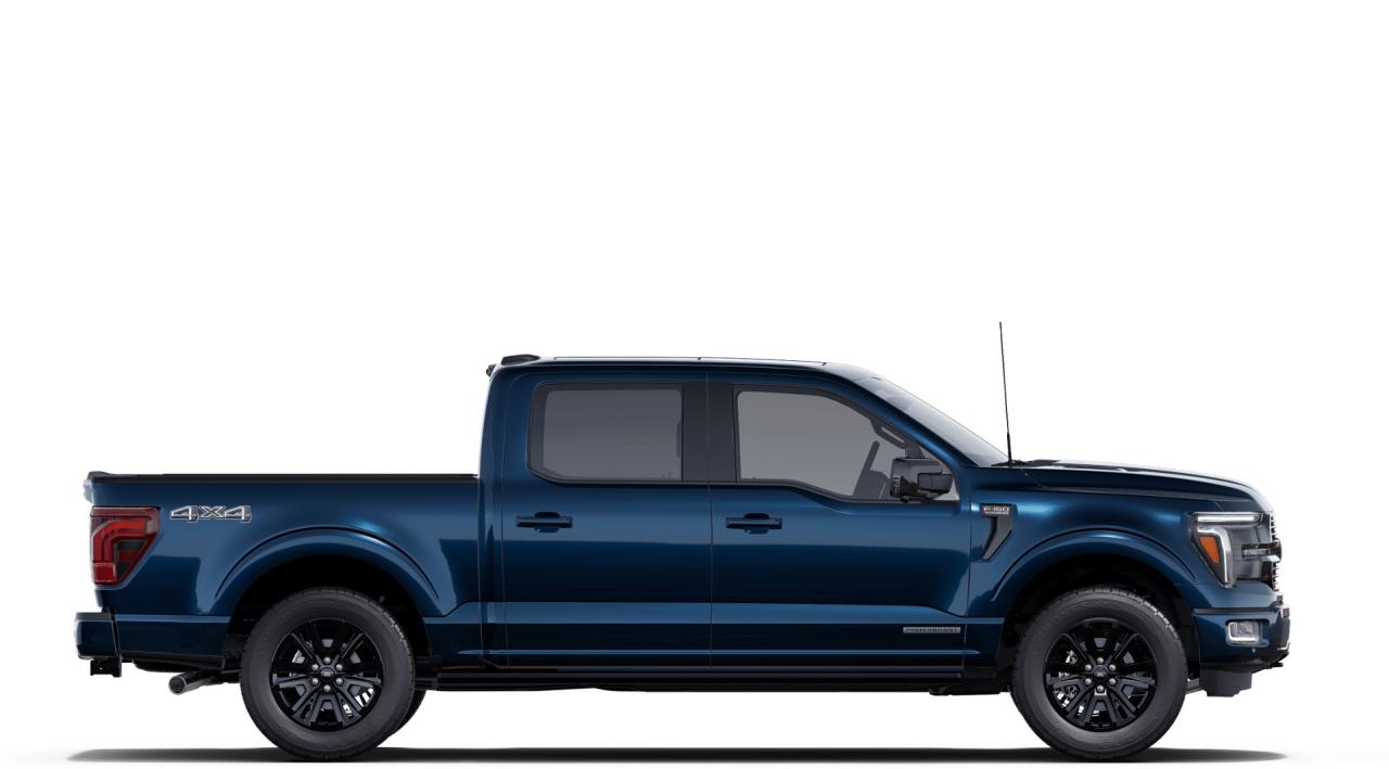 2025 Ford F-150 Platinum Photo4