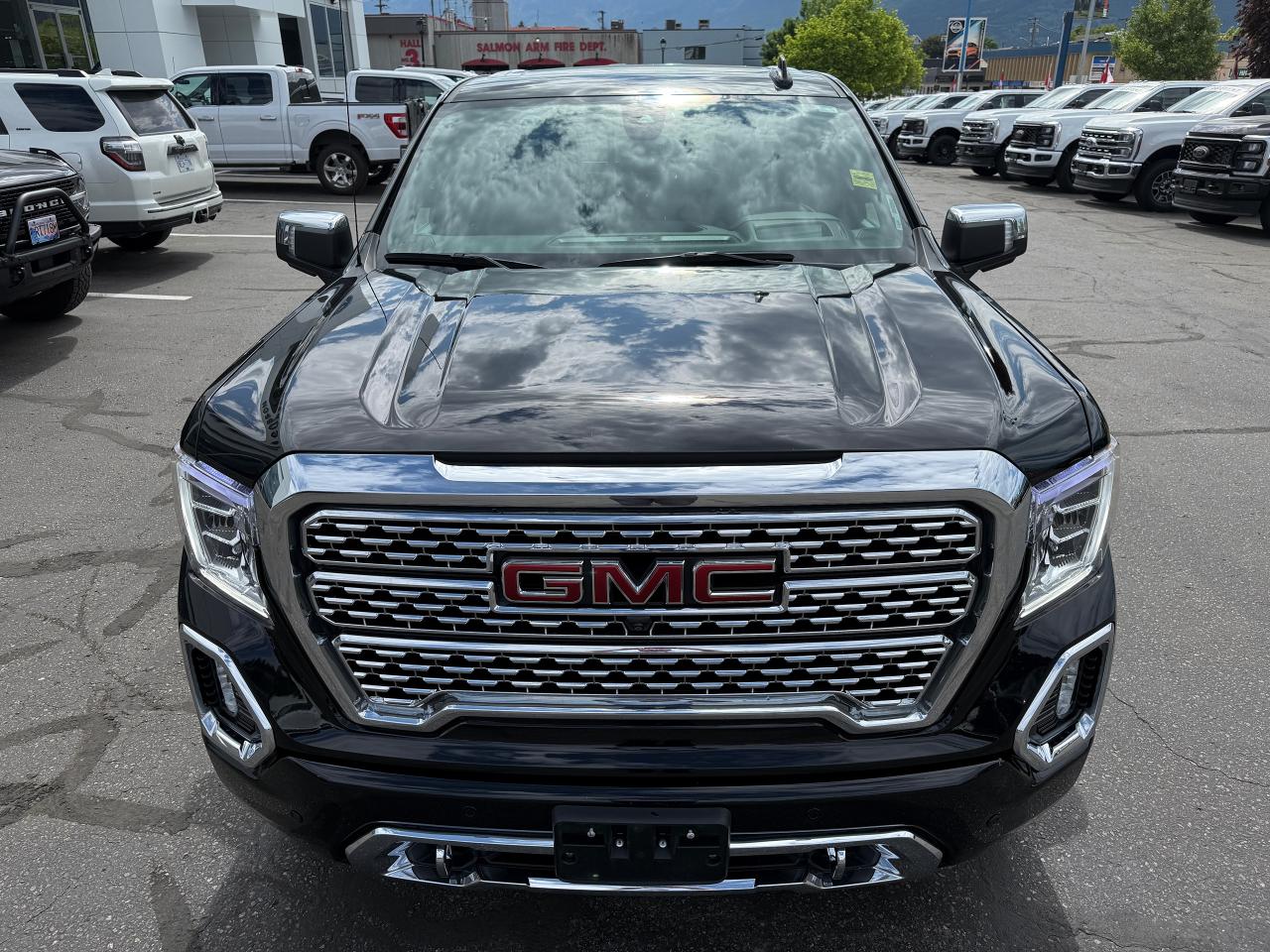 2021 GMC Sierra 1500 Denali Photo5