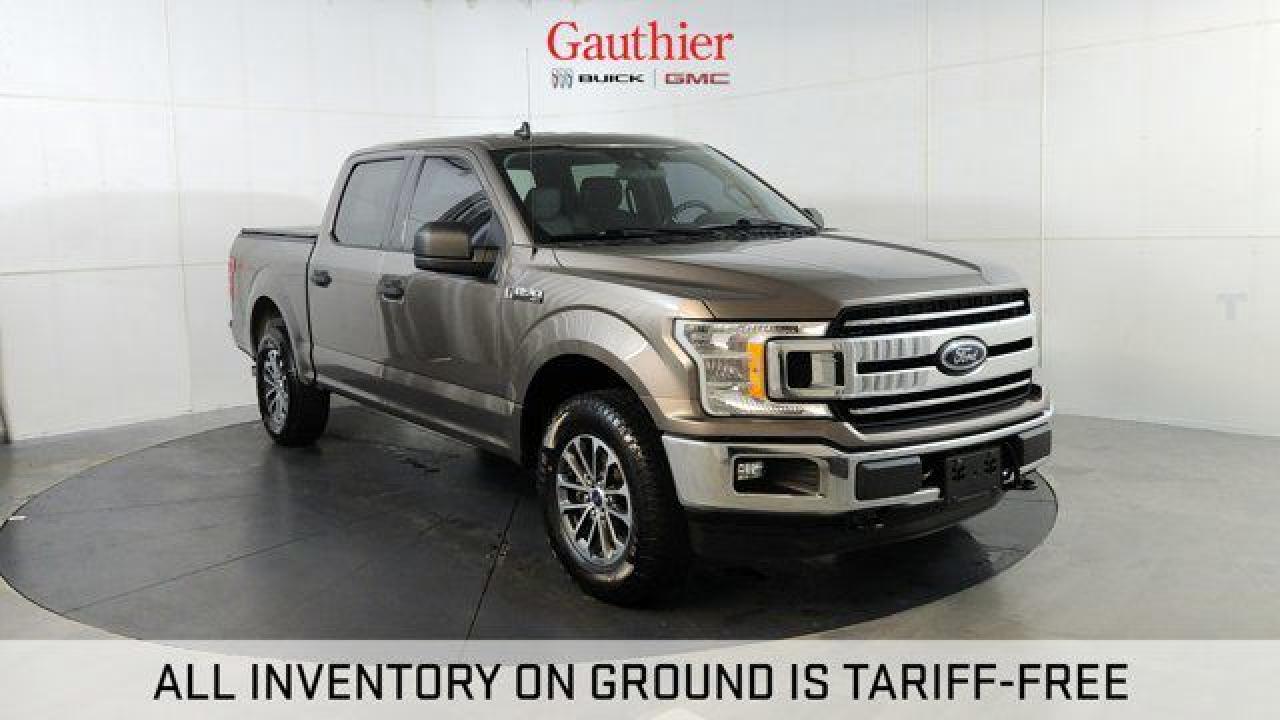Used 2019 Ford F-150 XL for sale in Winnipeg, MB