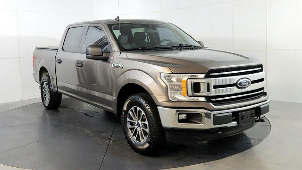 Used 2019 Ford F-150 XL for sale in Winnipeg, MB