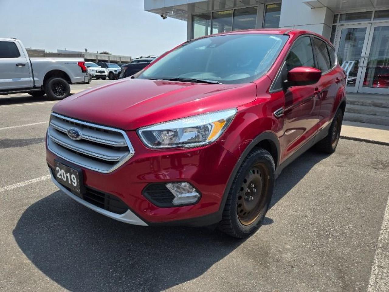 Used 2019 Ford Escape SE for sale in Peterborough, ON