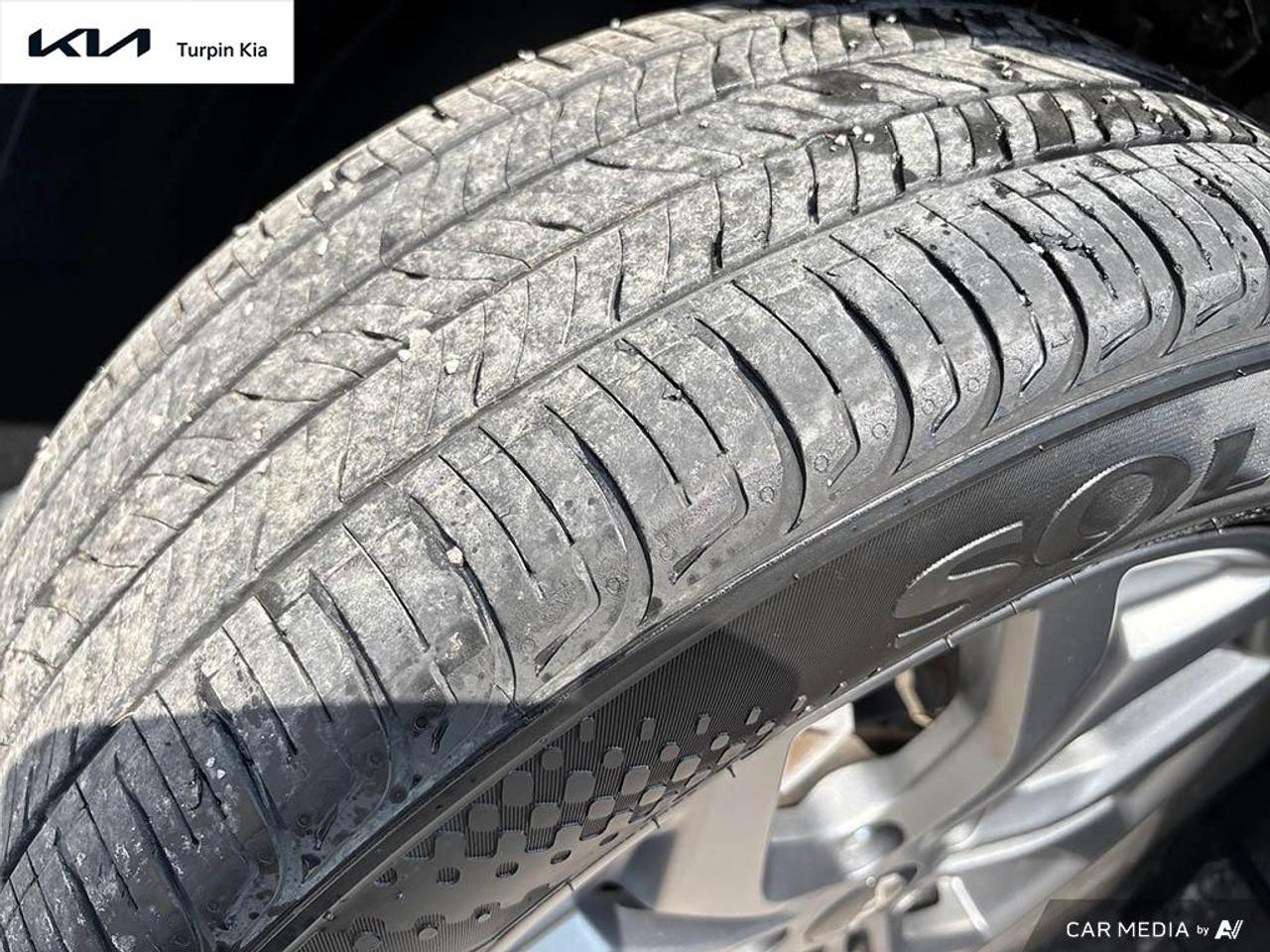 2024 Kia Seltos EX Photo