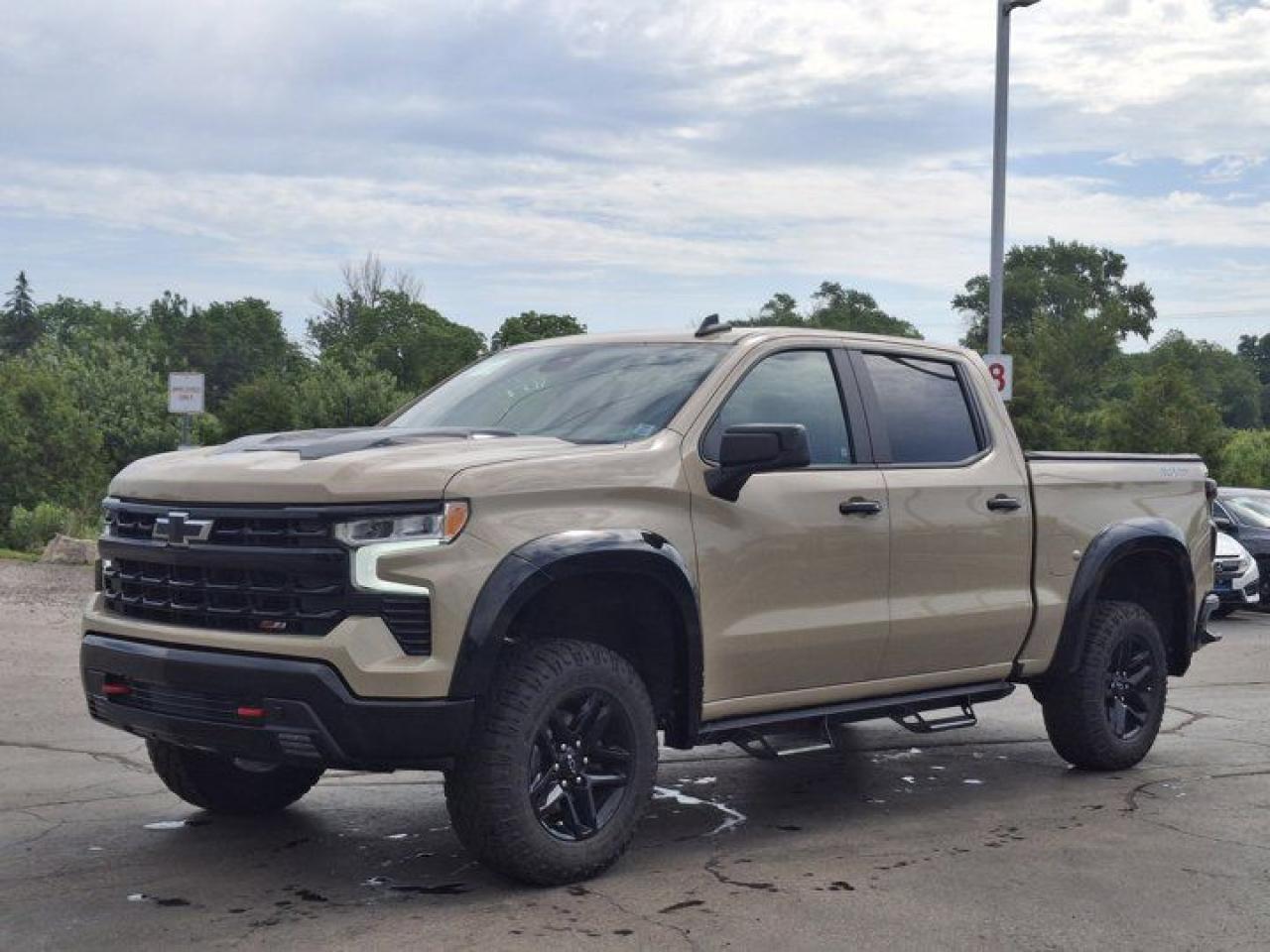 Used 2022 Chevrolet Silverado 1500 LT Trail Boss Crew Z71 4X4 | 5.3L | Heated Bucket Seats | Side Steps | Heated Wheel | for sale in Guelph, ON