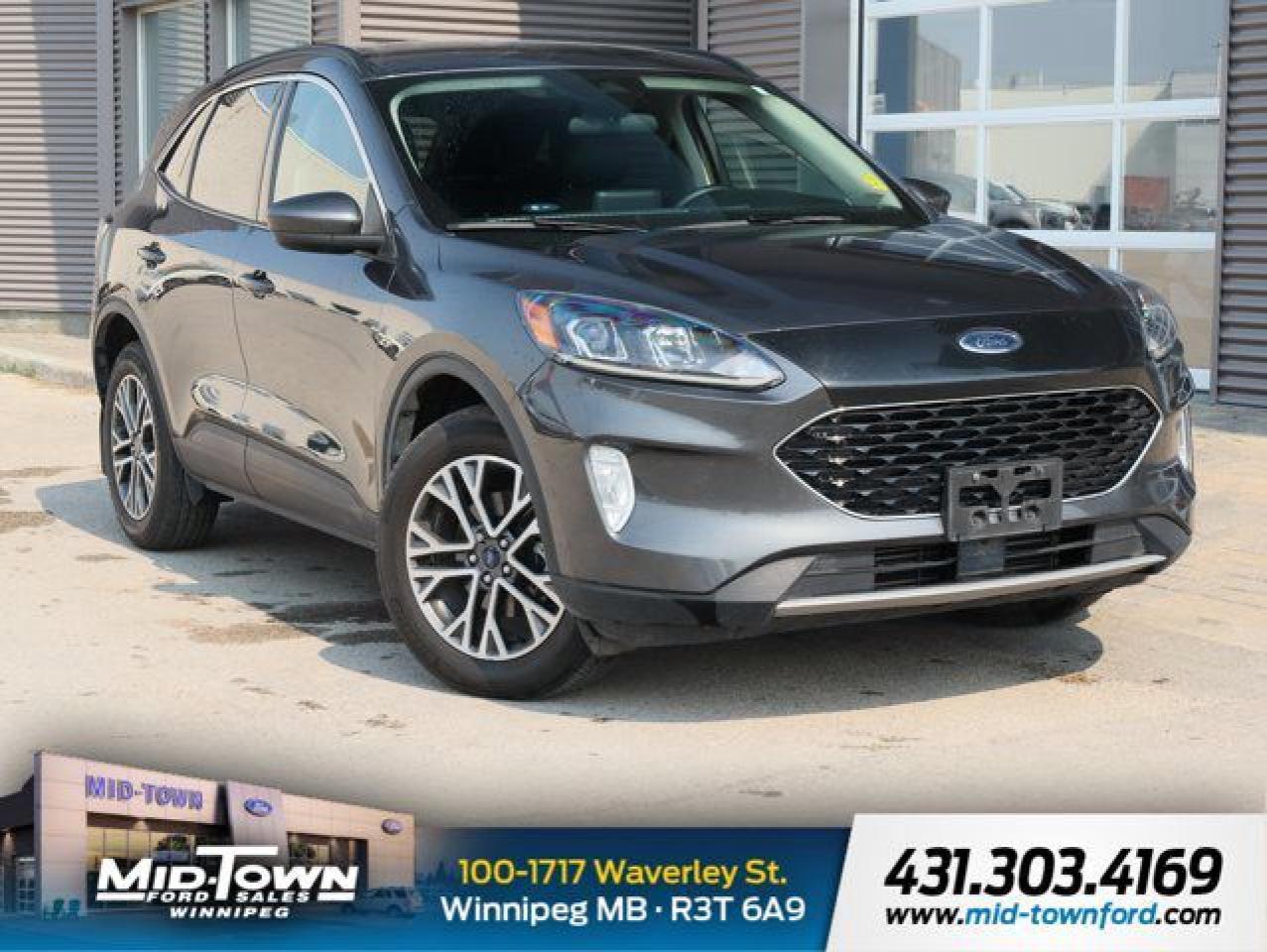 Used 2020 Ford Escape SEL ONE OWNER LOCAL TRADE for sale in Winnipeg, MB