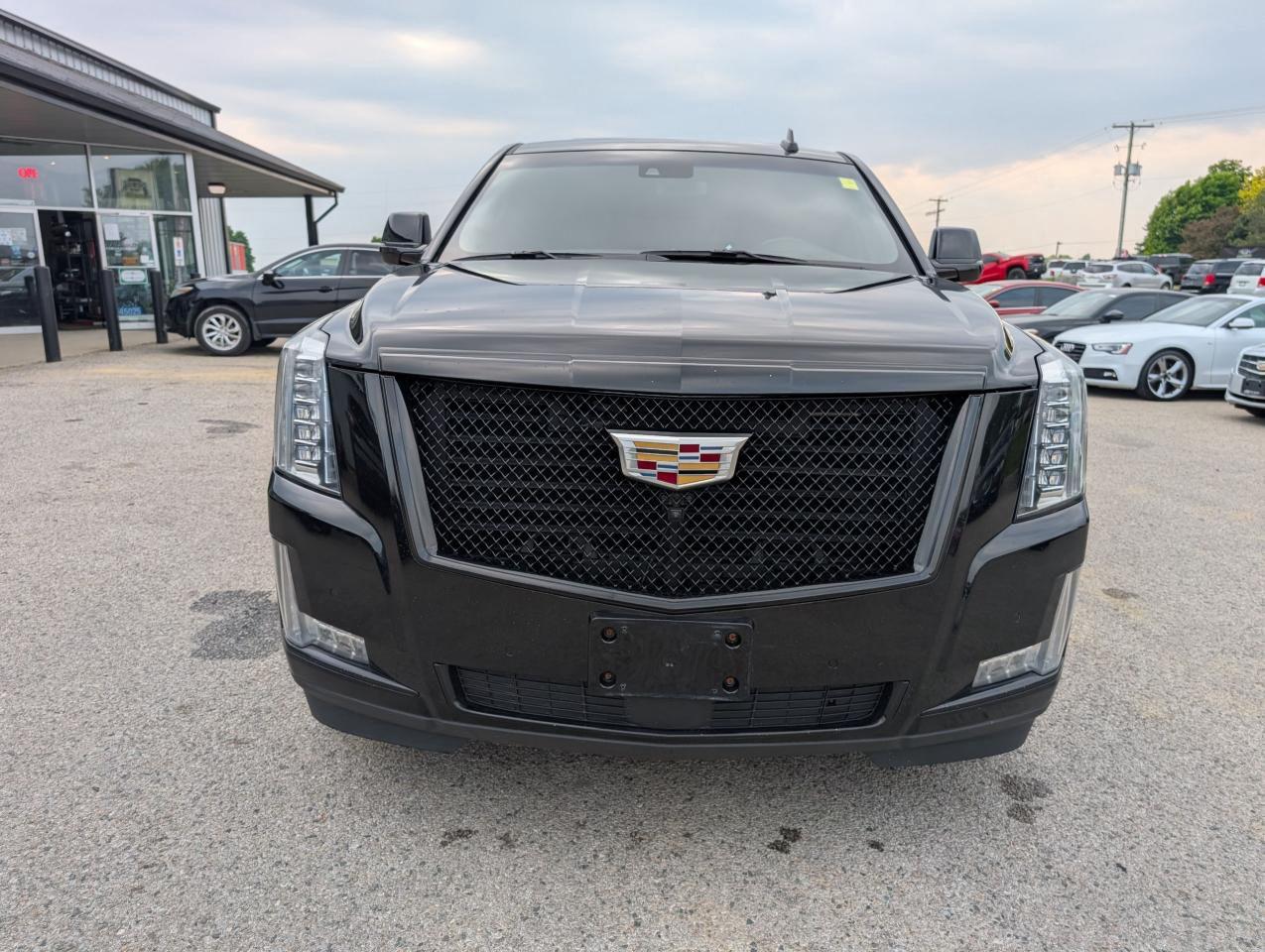 2017 Cadillac Escalade Platinum - Photo #7
