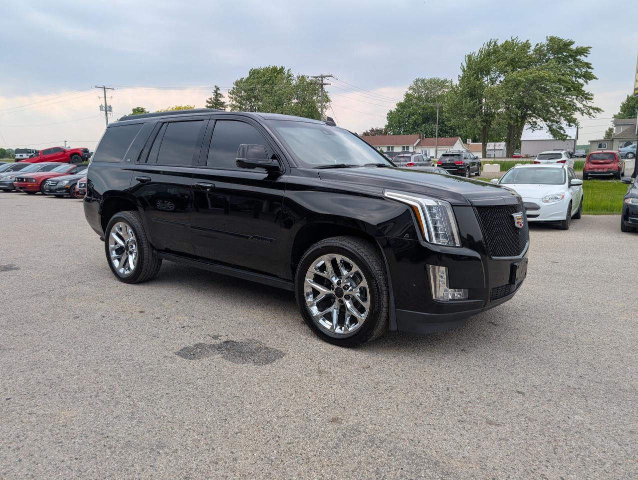 2017 Cadillac Escalade Platinum - Photo #6