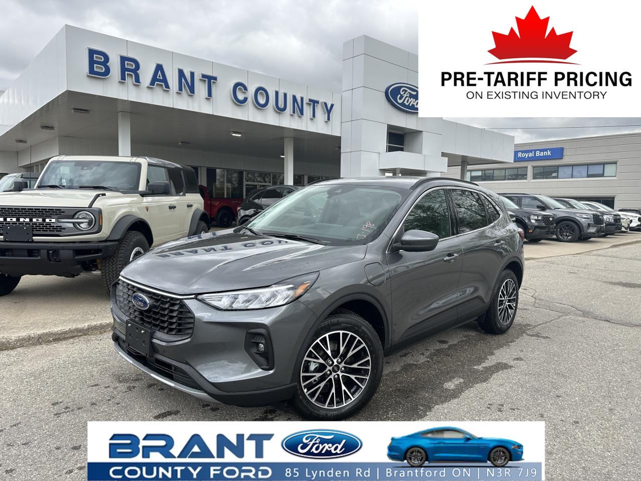 New 2025 Ford Escape PHEV for sale in Brantford, ON