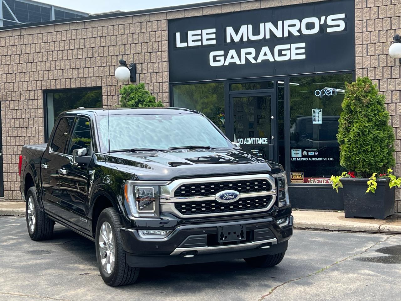 Used 2023 Ford F-150 PLATINUM for sale in Paris, ON