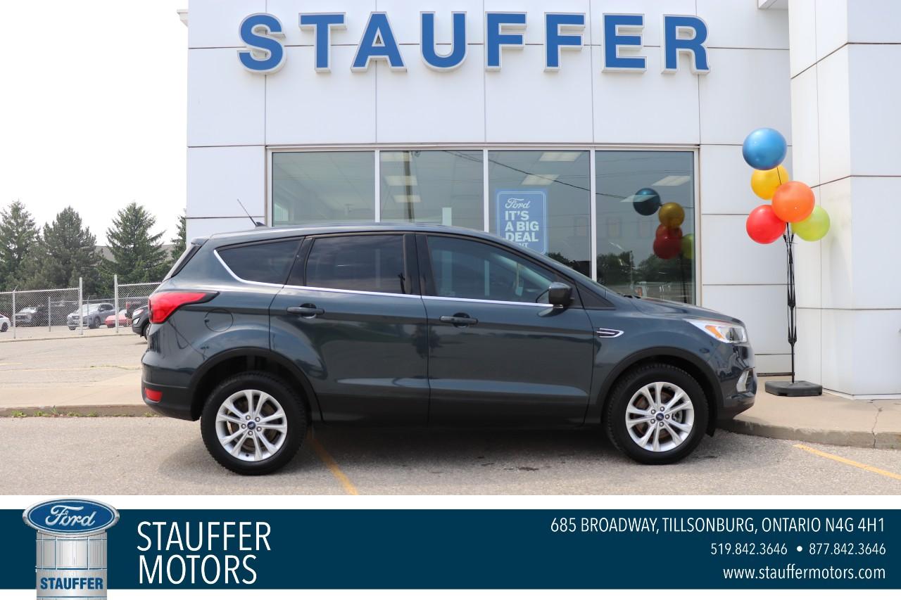 Used 2019 Ford Escape SE 4WD for sale in Tillsonburg, ON