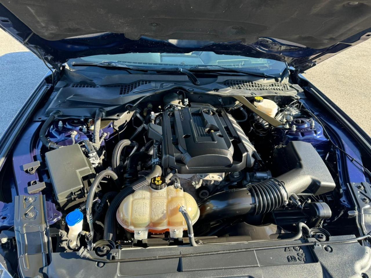 2020 Ford Mustang EcoBoost - Photo #20