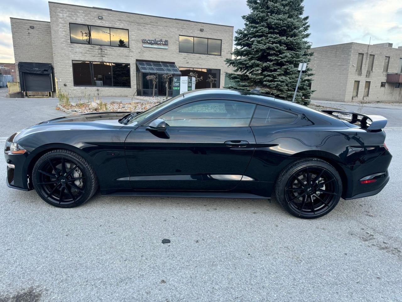2021 Ford Mustang GT Premium - Photo #8