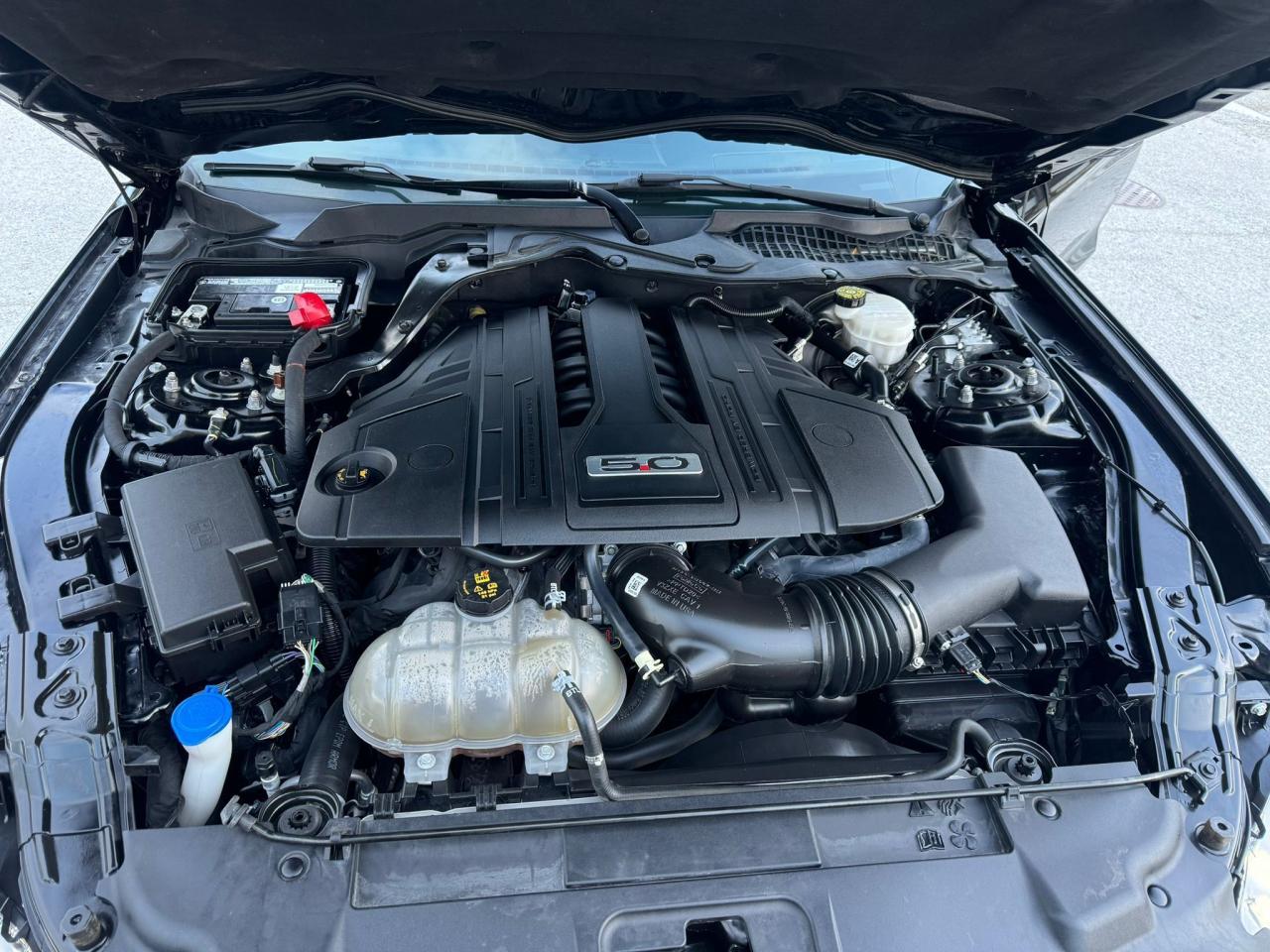 2021 Ford Mustang GT Premium - Photo #18