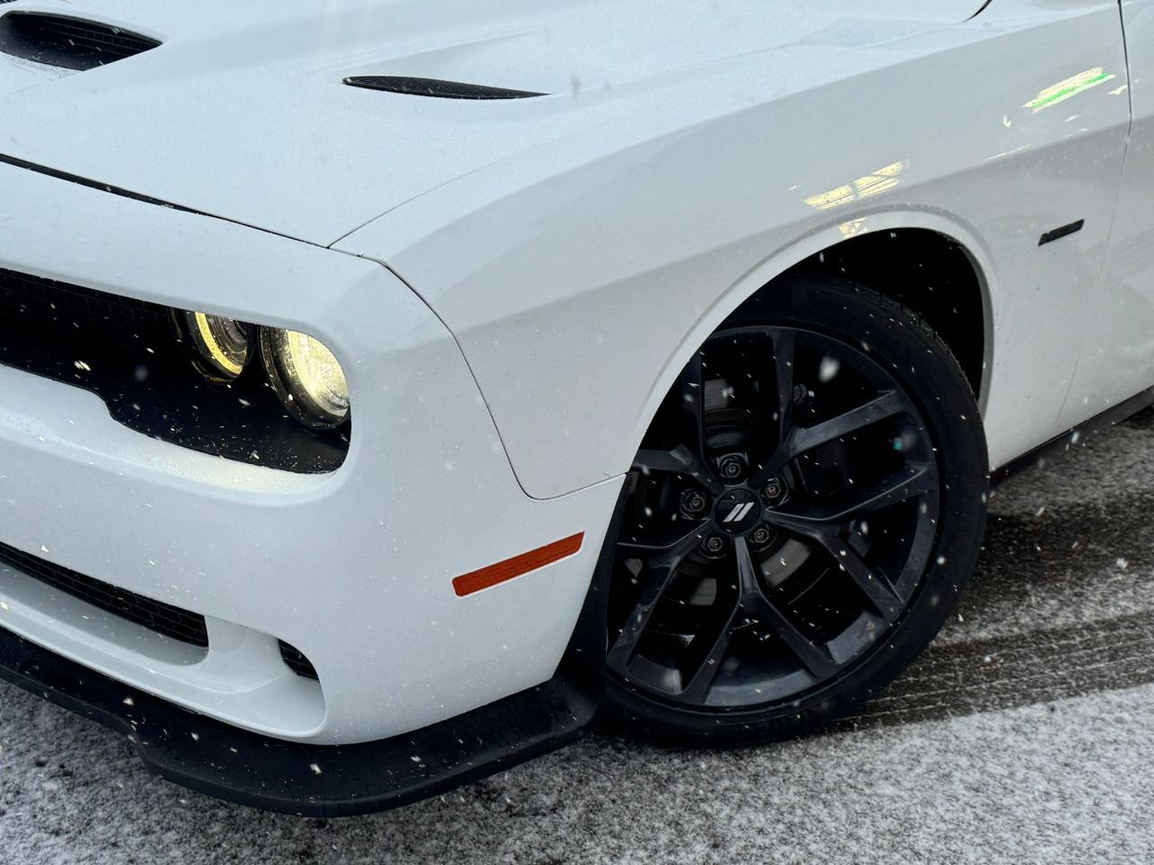 2019 Dodge Challenger R/T - Photo #5