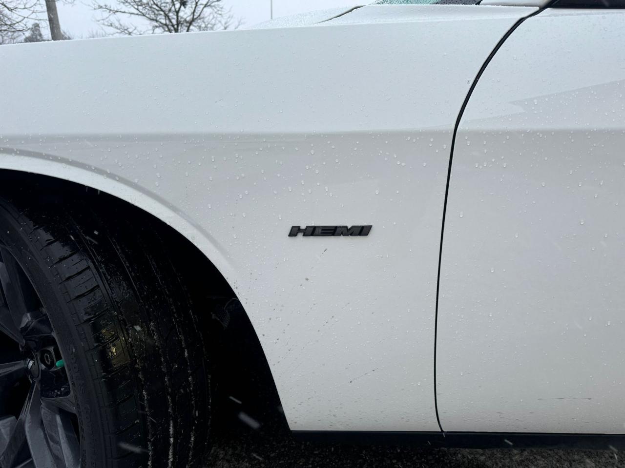 2019 Dodge Challenger R/T - Photo #11