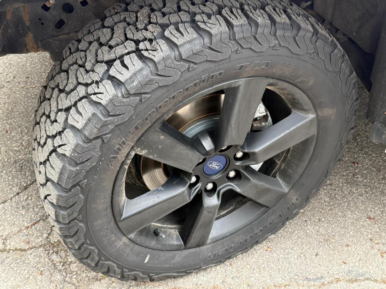 2019 Ford F-150 XLT - Photo #14