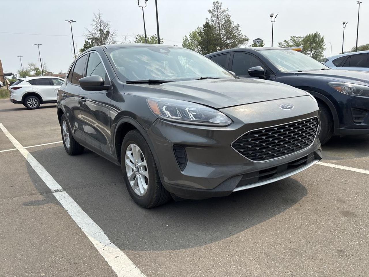 Used 2020 Ford Escape SE for sale in Sherwood Park, AB