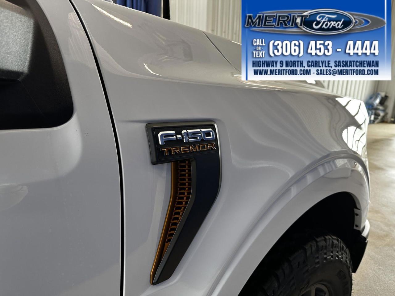 2025 Ford F-150 Tremor - Pro Access Tailgate+ MORE Photo