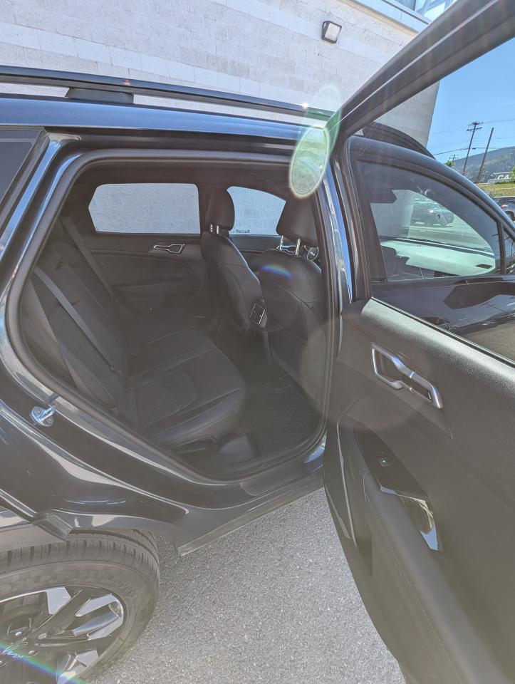 2023 Kia Sportage X-Line Photo