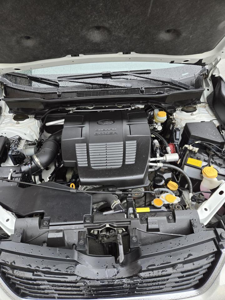 2019 Subaru Forester 2.5i Photo
