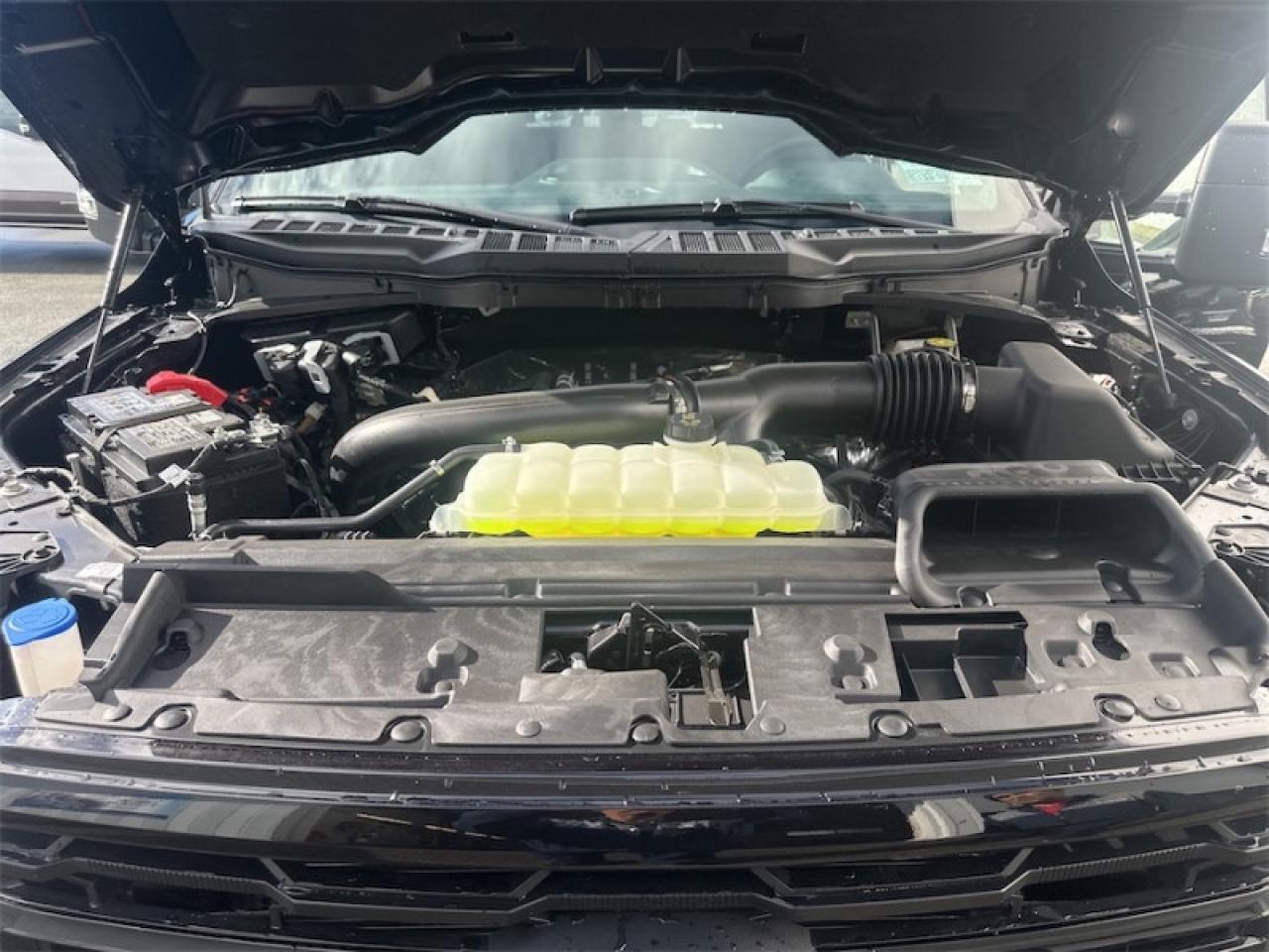 2025 Ford F-150 XLT  - Tow Package Photo5